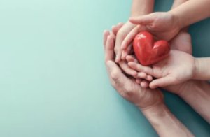 Диагностика всего организма по методу Фолля в Киеве